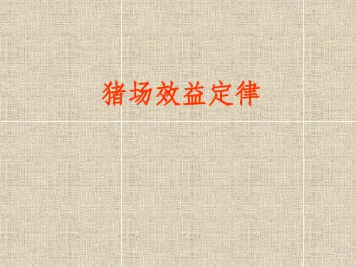 猪场效益定律ppt课件
