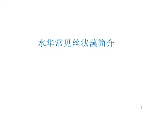水华常见丝藻简介-2015