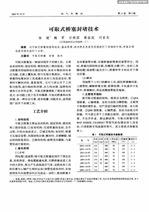 可取式桥塞封堵技术
