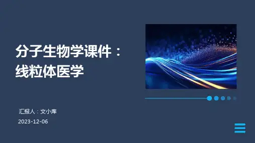 分子生物学课件：线粒体医学