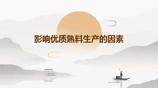 影响优质熟料生产的因素
