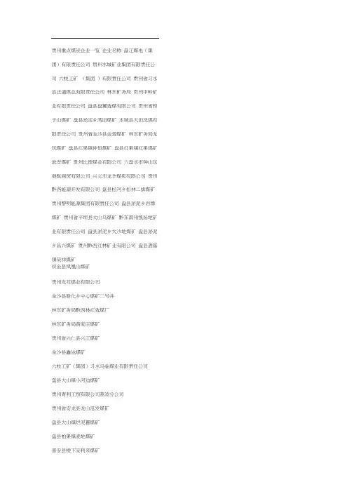 贵州省重点煤炭企业一览