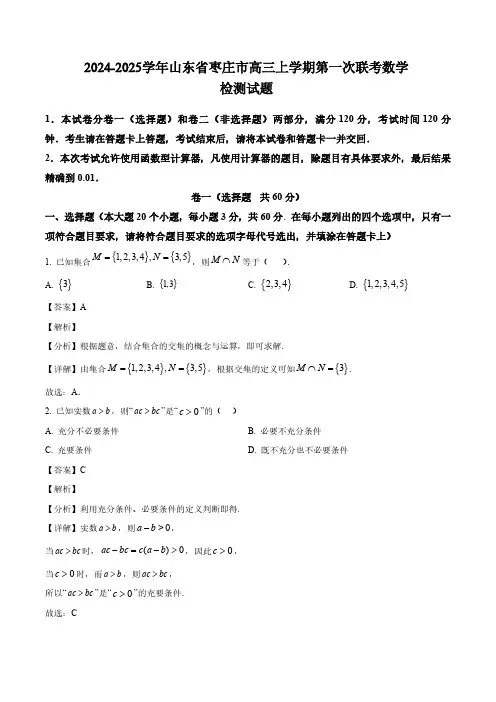 2024-2025学年山东省枣庄市高三上学期第一次联考数学检测试题(附解析)