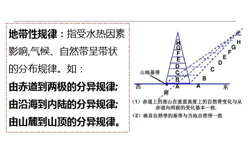 2023届高考地理一轮复习课件 自然地理环境的整体性和差异性气候非地带性 