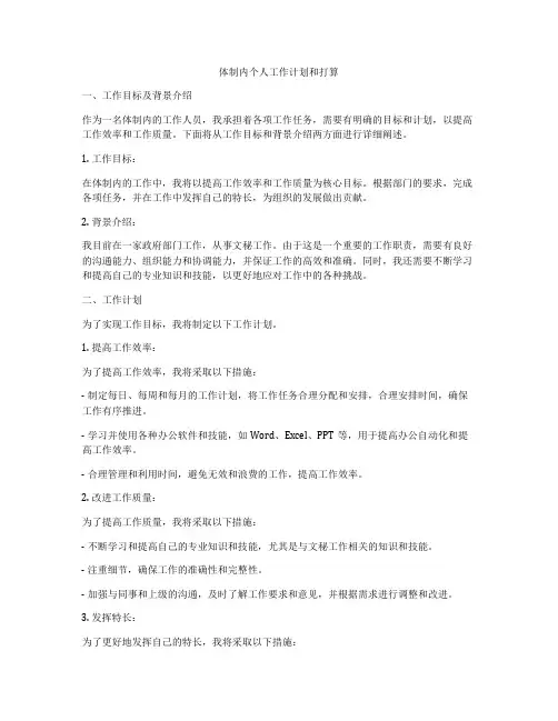 体制内个人工作计划和打算