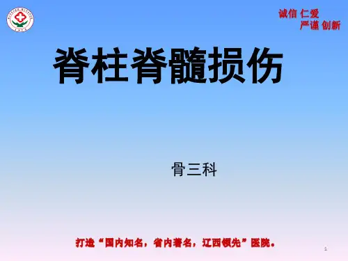 脊柱脊髓损伤PPT课件