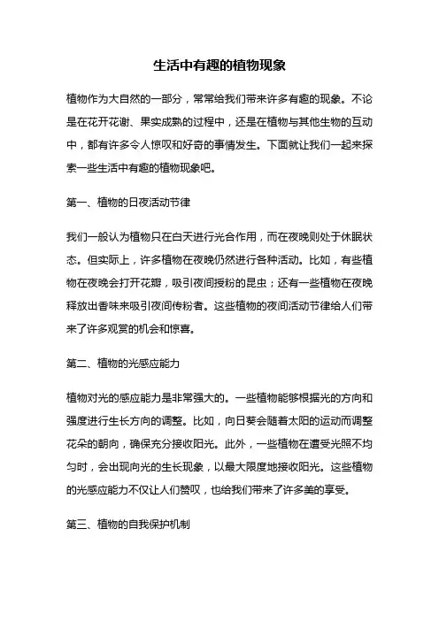 生活中有趣的植物现象