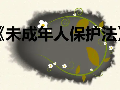 《未成年人保护法》PPT课件