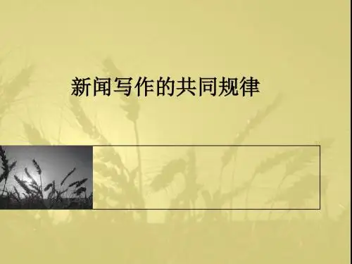 新闻写作的共同规律ppt课件