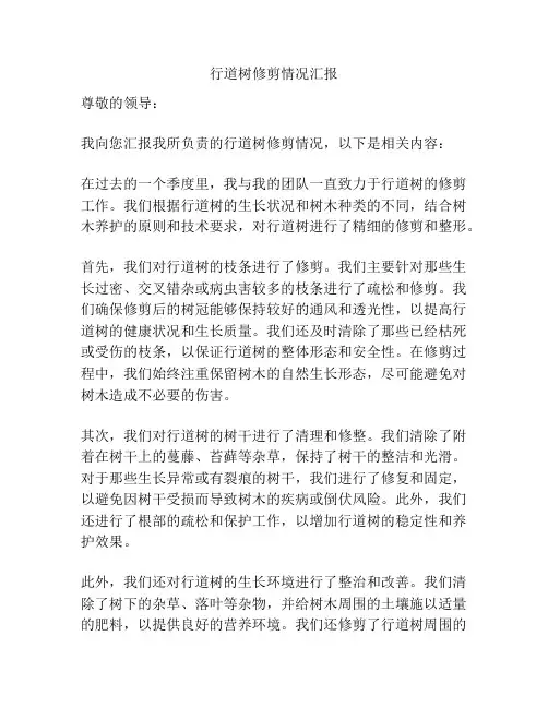 行道树修剪情况汇报