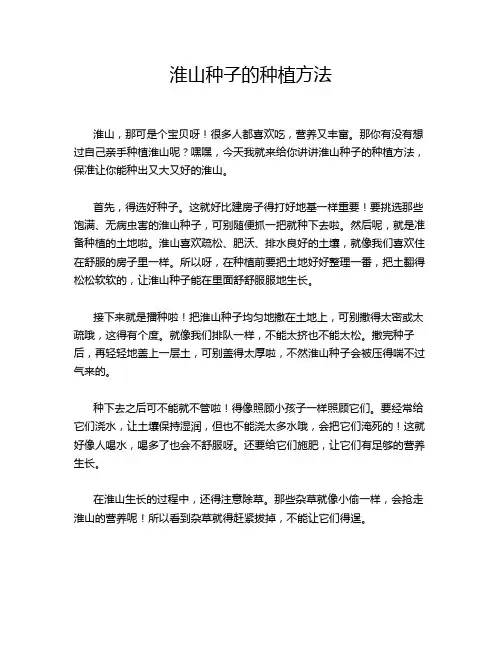淮山种子的种植方法