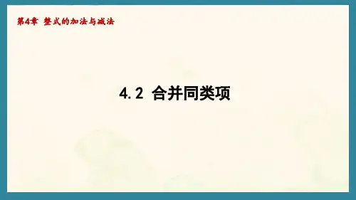 4.2 合并同类项(课件)青岛版(2024)数学七年级上册