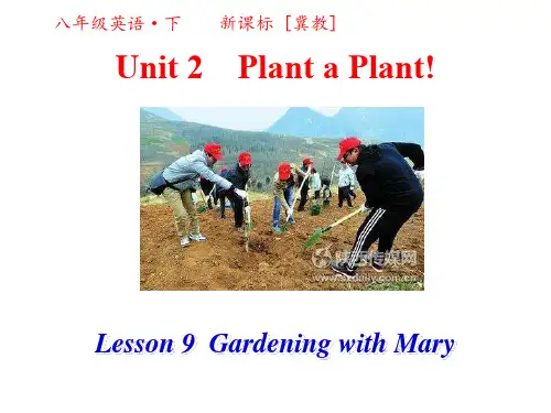 冀教版英语八年级下册精品课件第二单元第三课时