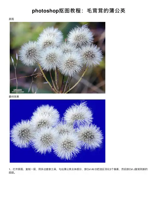 photoshop抠图教程：毛茸茸的蒲公英