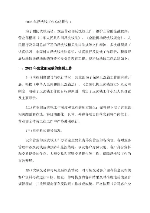 2023年反洗钱工作总结报告6篇