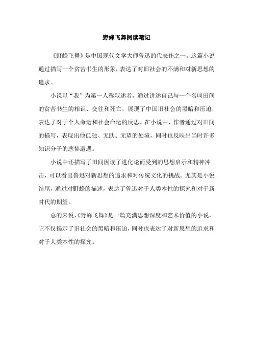 野蜂飞舞阅读笔记