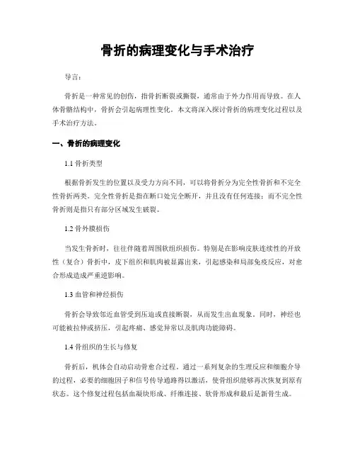 骨折的病理变化与手术治疗