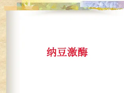 纳豆激酶品种介绍