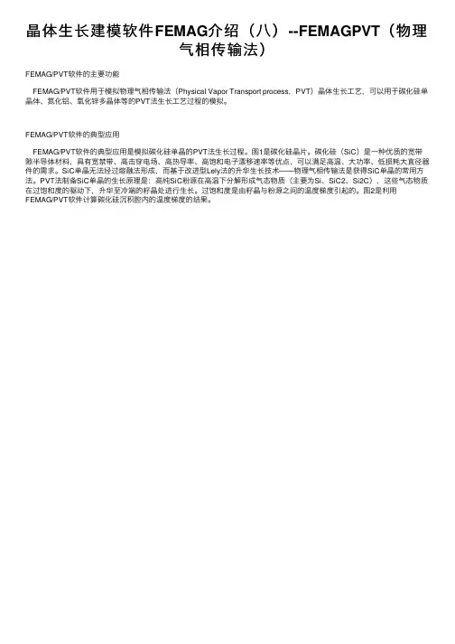 晶体生长建模软件FEMAG介绍（八）--FEMAGPVT（物理气相传输法）