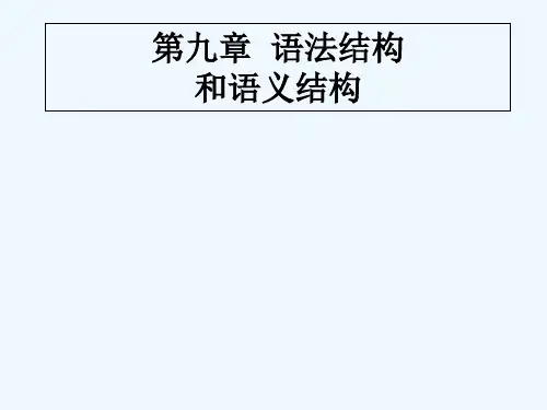现代汉语语法学第九章句法结构和语义结构 PPT