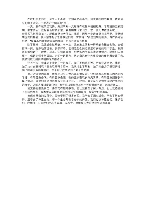 我对昆虫的观察