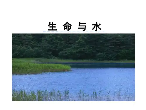 生命与水ppt课件