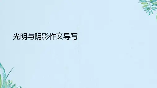 光明与阴影作文导写
