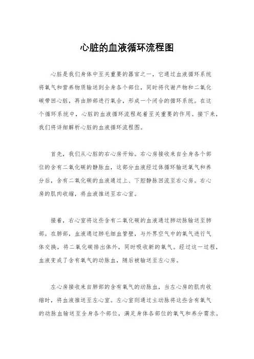 心脏的血液循环流程图