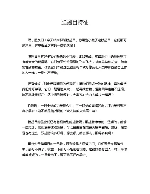 膜翅目特征