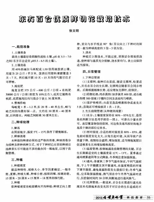 东方百合优质鲜切花栽培技术