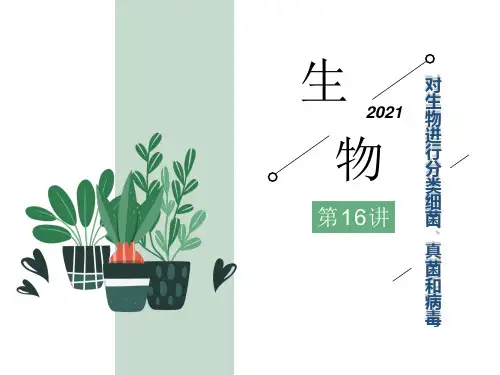 第16讲    对生物进行分类细菌、真菌和病毒
