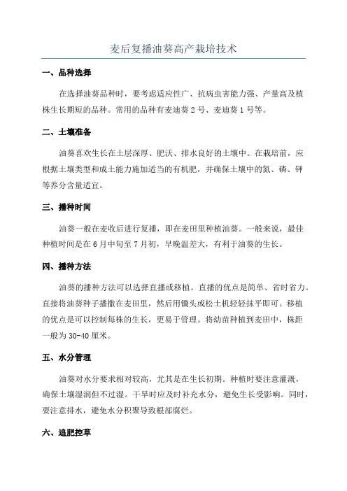 麦后复播油葵高产栽培技术