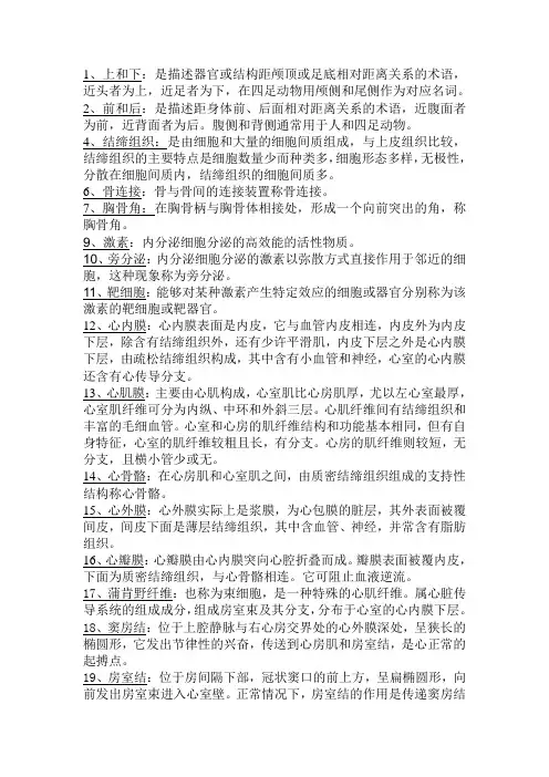 人体解剖学(1) - 副本