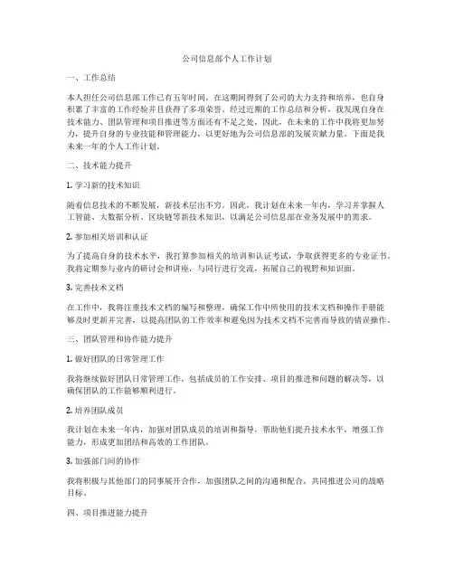 公司信息部个人工作计划