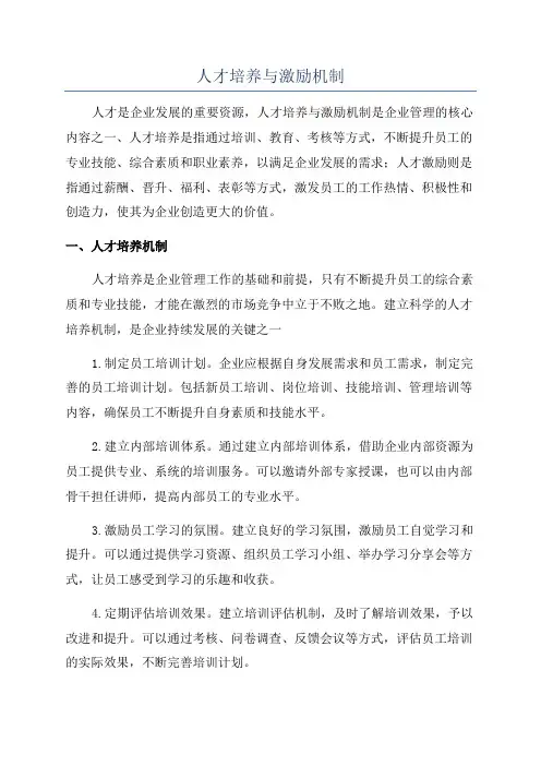 人才培养与激励机制