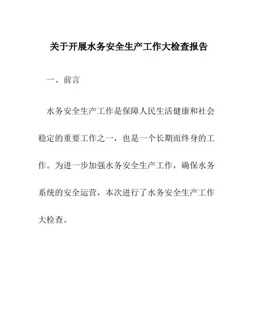 关于开展水务安全生产工作大检查报告