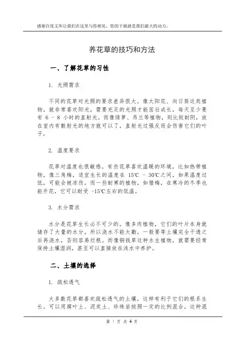 养花草的技巧和方法