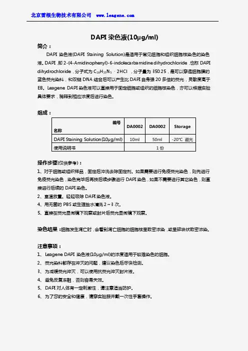 DAPI染色液