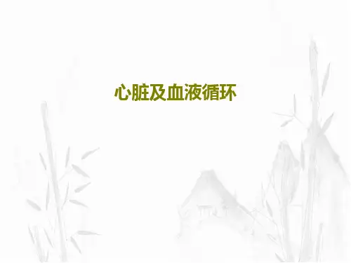 心脏及血液循环37页PPT