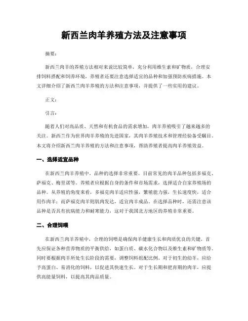 新西兰肉羊养殖方法及注意事项