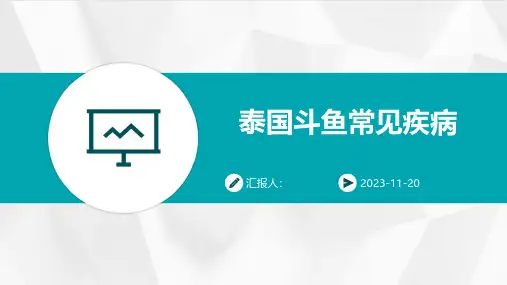 泰国斗鱼常见疾病
