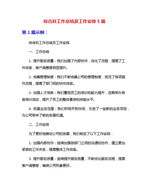 综合科工作总结及工作安排5篇