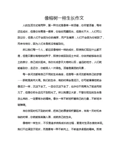 像榕树一样生长作文