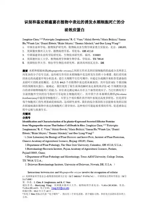 识别和鉴定稻瘟病菌在植物中表达的诱发水稻细胞死亡的分泌效应蛋白