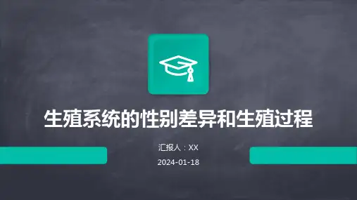 生殖系统的性别差异和生殖过程