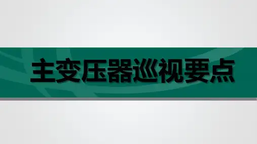 主变压器巡视要点