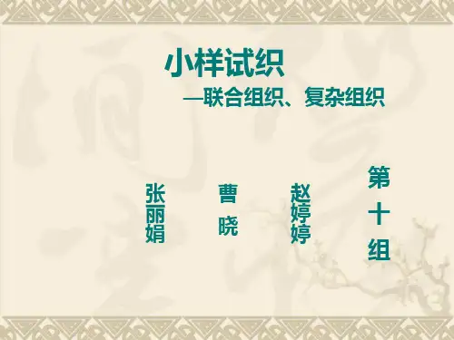 小样试织学生PPT汇报(第10组)