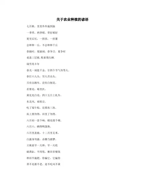 关于农业种植的谚语