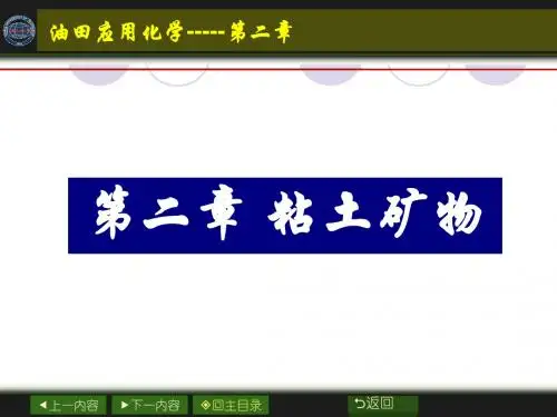 油田应用化学第二章  粘土矿物