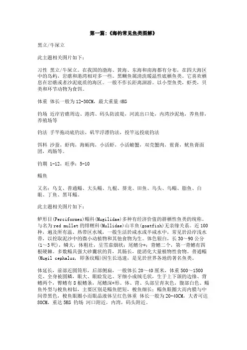 冬季海钓什么鱼